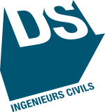 DSI SA Logo